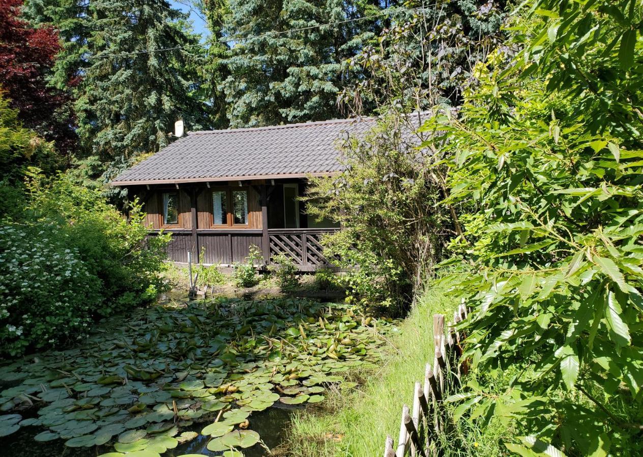 Villa Dankowska Dolina Extérieur photo