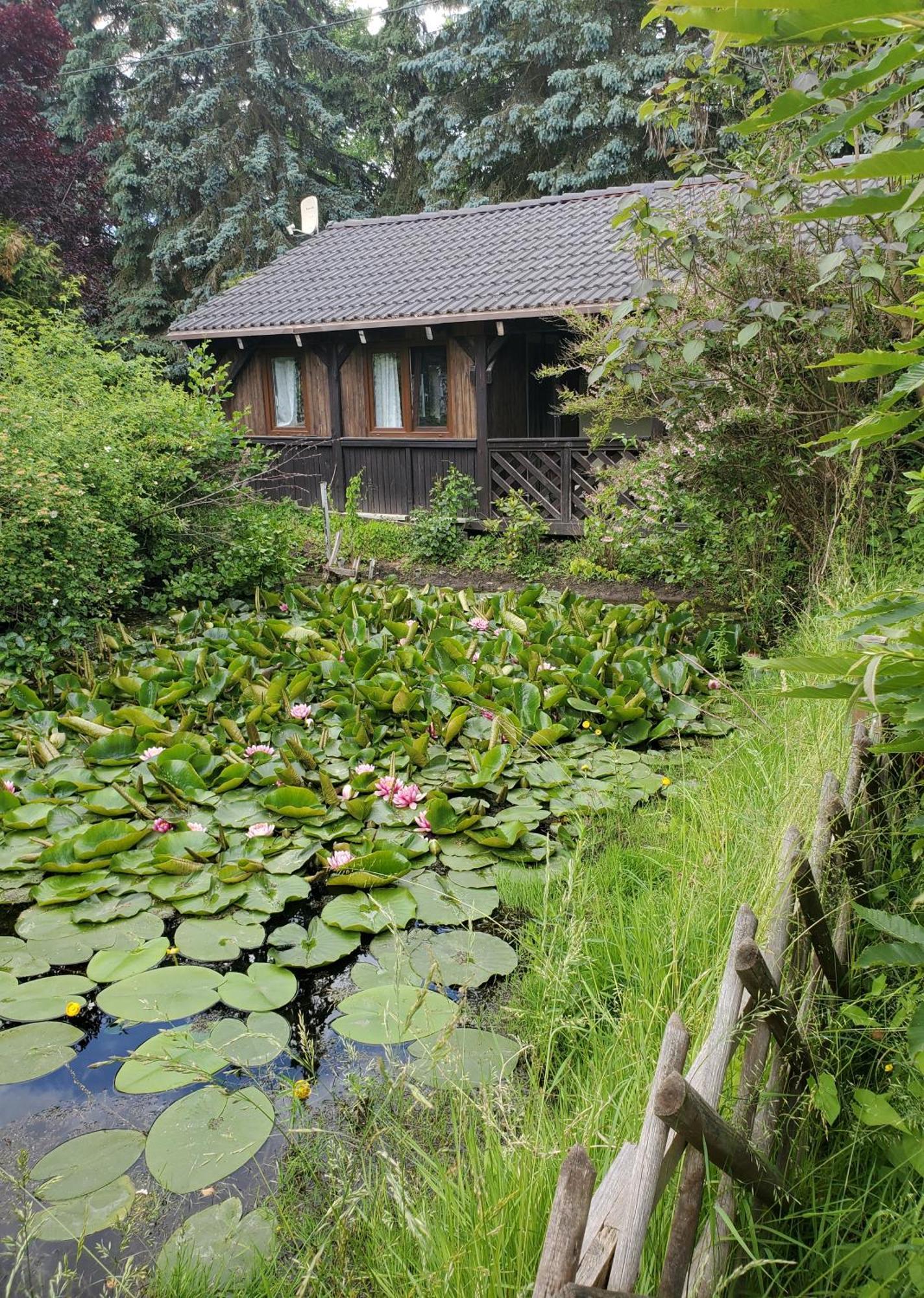 Villa Dankowska Dolina Extérieur photo